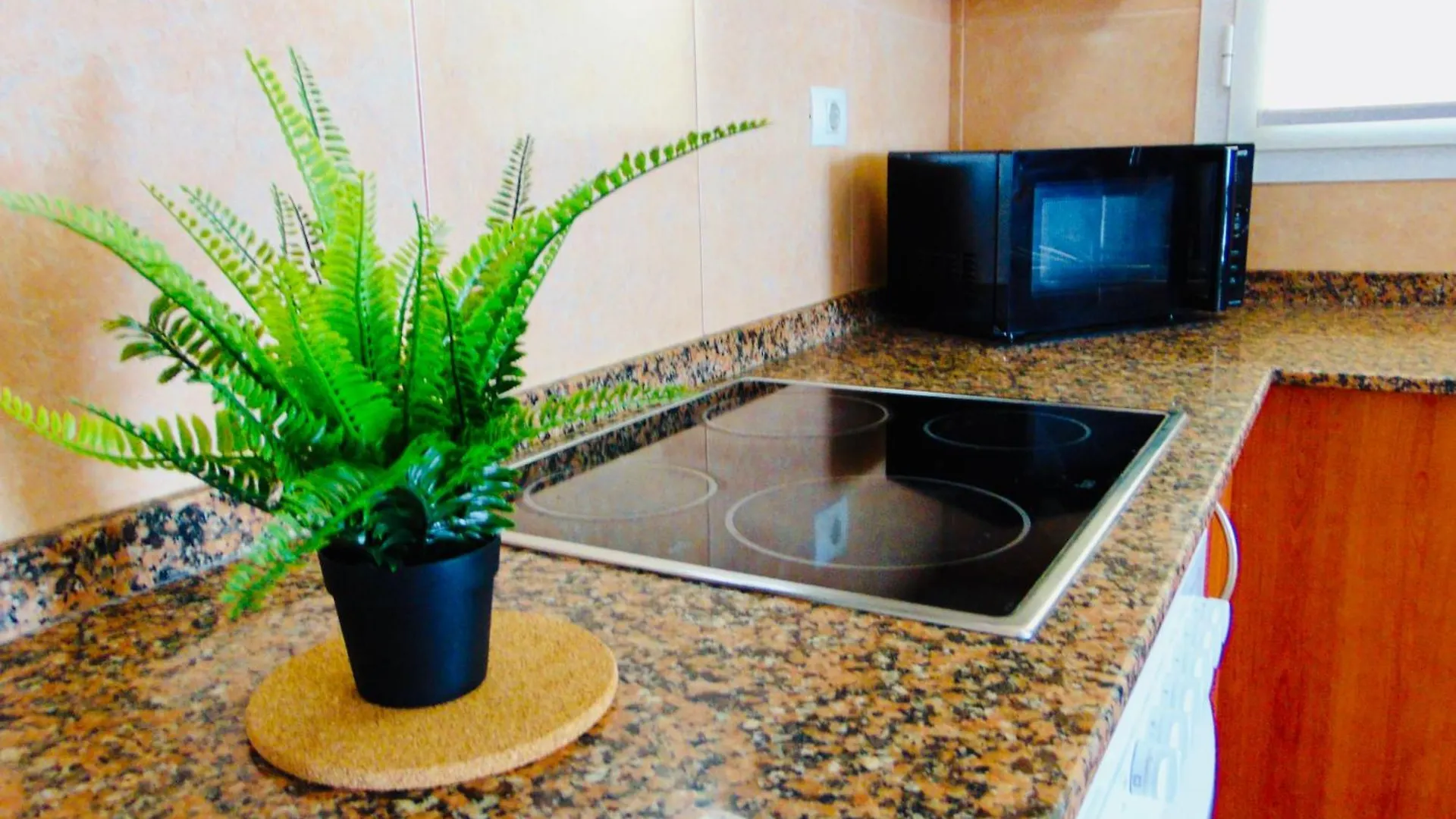 Apartamento Brisa Del Mar Fuerteventura Puerto del Rosario  España